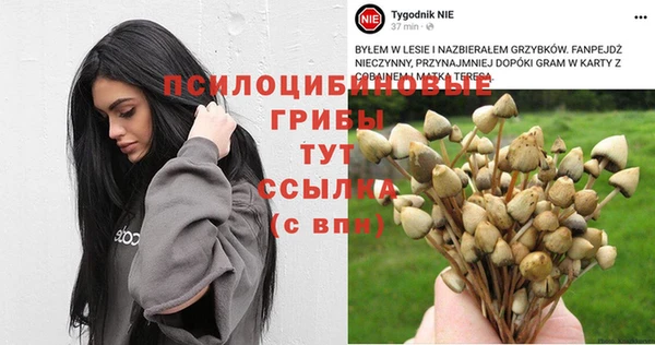 молекула духа Балахна