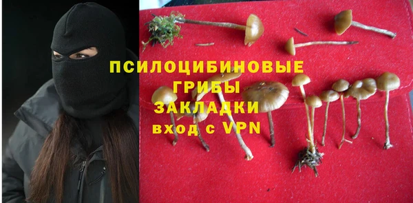 молекула духа Балахна