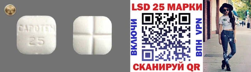 как найти   Пойковский  Лсд 25 экстази ecstasy 